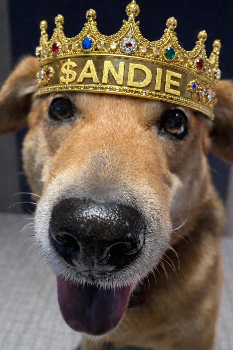 USD1 SZN is here and Andie will lead the way