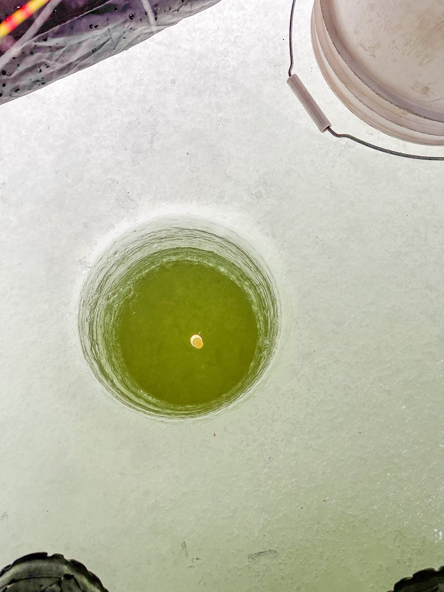 prairieguy2016's tweet image. A little hard to see in the photo but those darker spots down in the hole are fish. They were taunting me. Today, the fish won… #icefishing #winter #northdakota #prairie