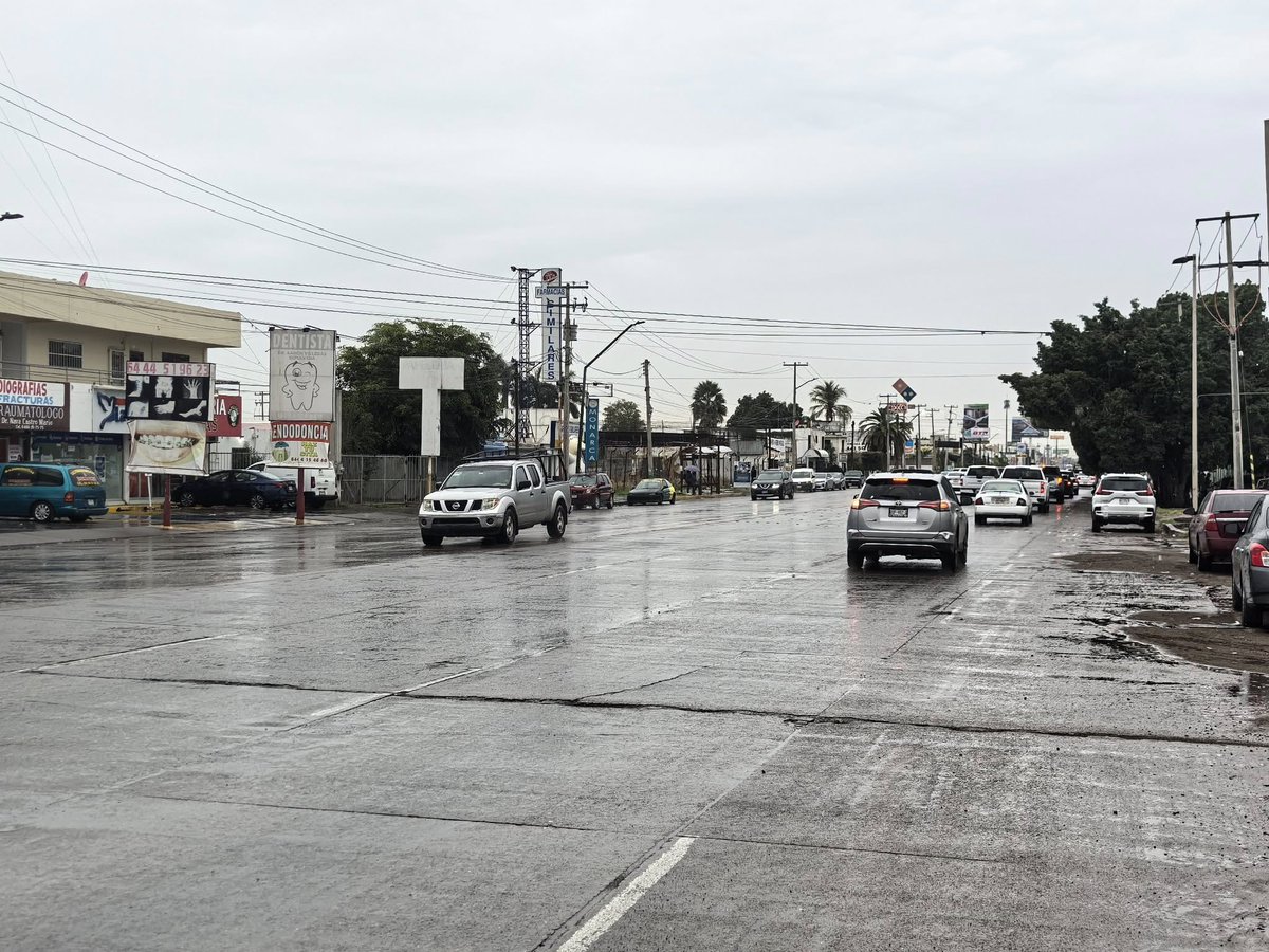 ¡Qué hermosura de paisajes nos regaló la primera lluvia del año en nuestro estado!

Estas postales me las hicieron llegar desde distintos puntos de Sonora, reflejo del cariño y de la conexión que tenemos con nuestra tierra.