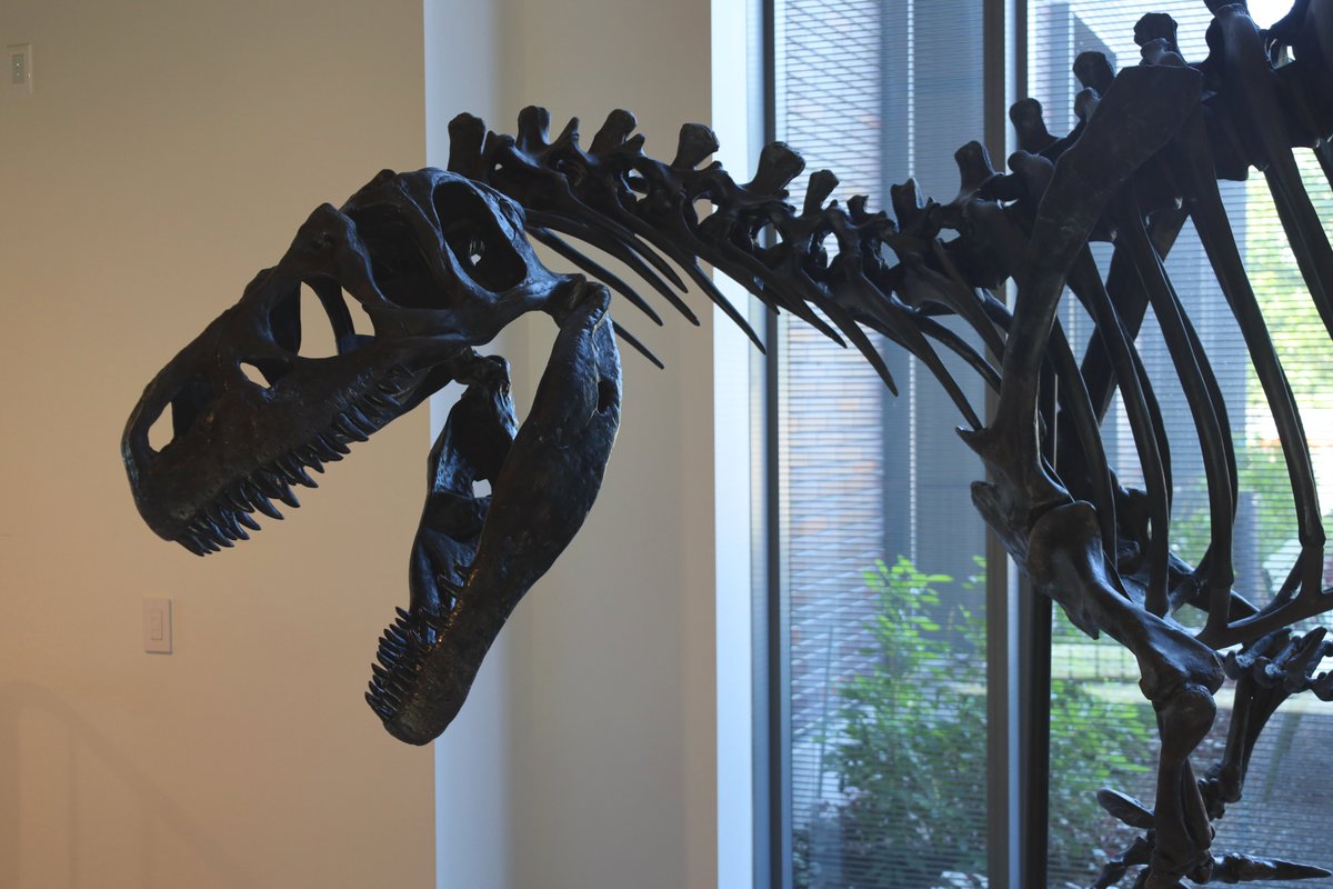 Research Casting International tweet media