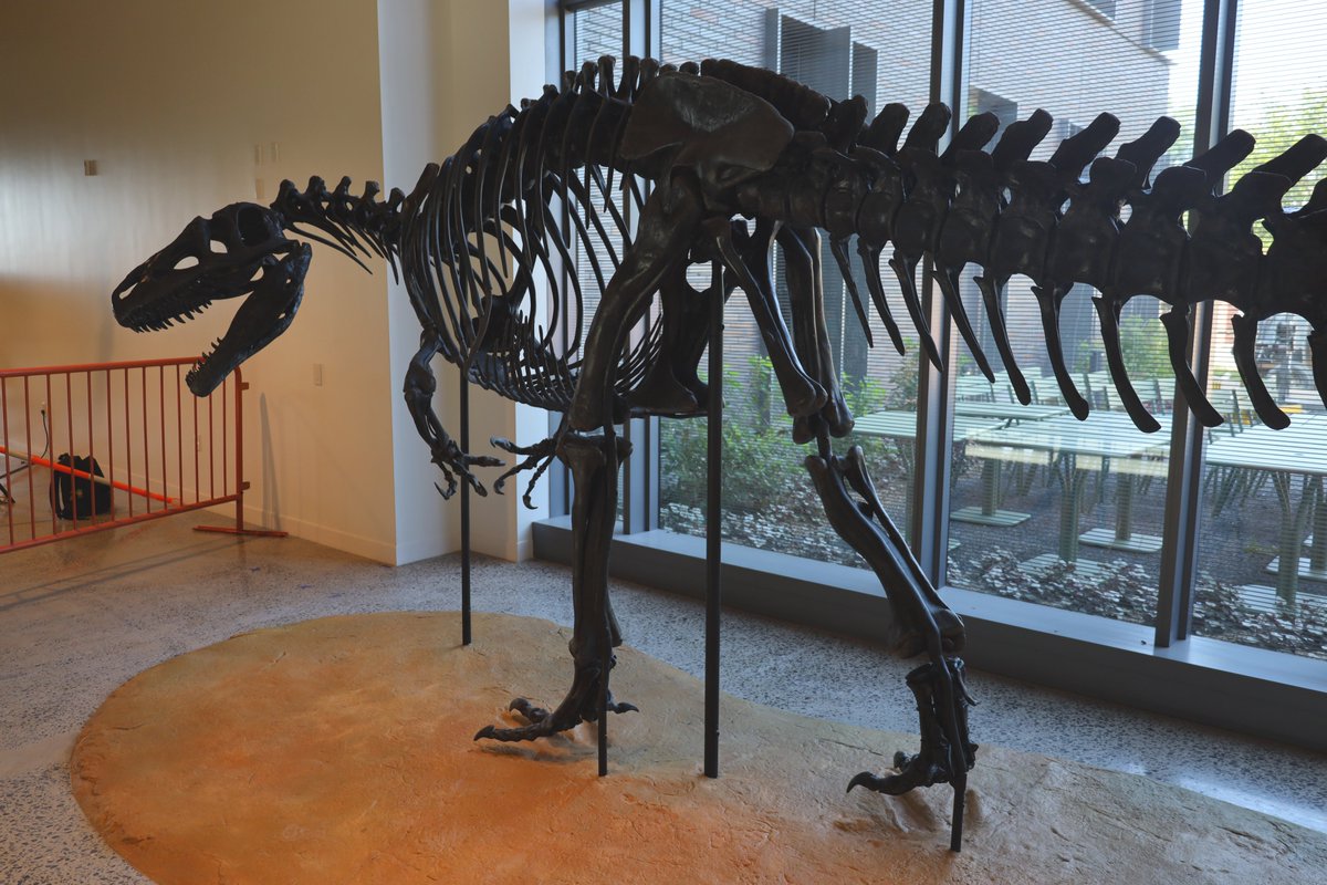 Research Casting International tweet media