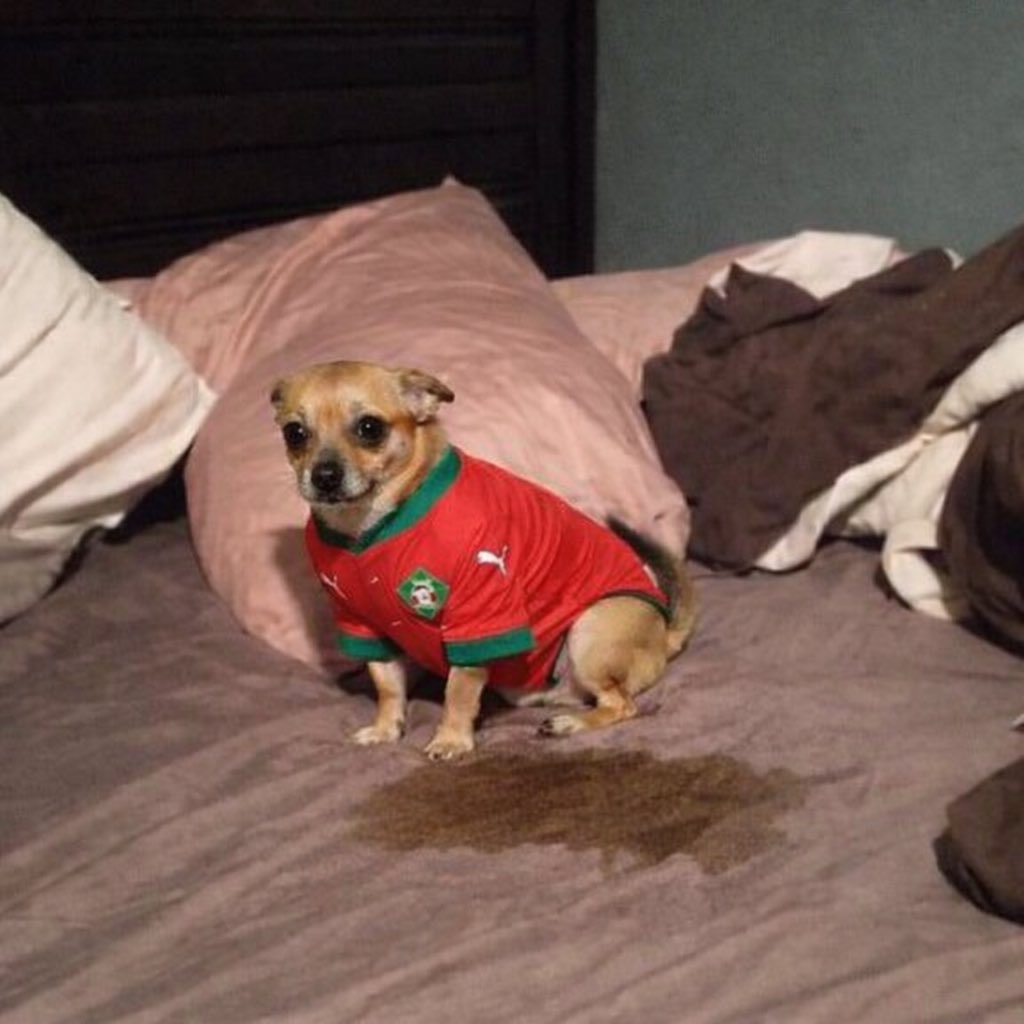 Ils ont Kofane et Mbeumo quand même…