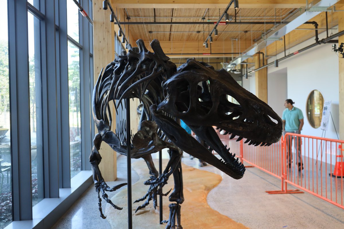 Research Casting International tweet media