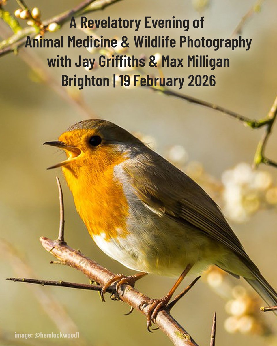 Jay Griffiths tweet media