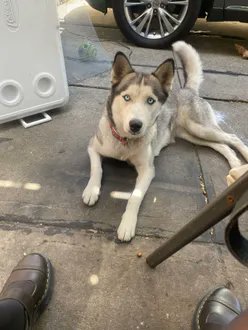 Keith Olbermann tweet media