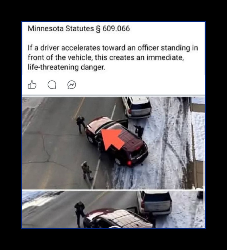 DIPYOMUCH's tweet image. #DomesticTerrorist #Justice ICE #FAFO