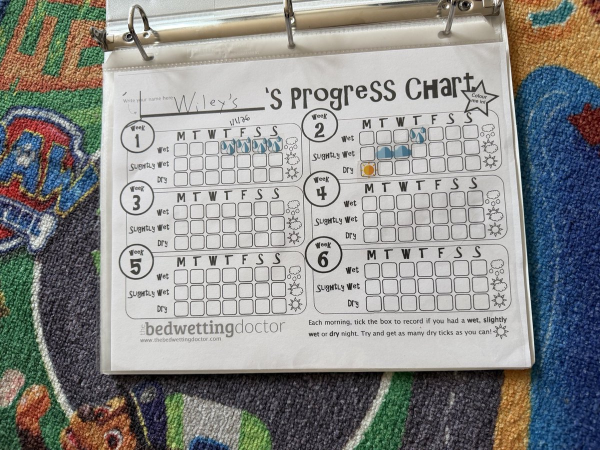 WileyWets's tweet photo. Here are some 2026 Week 1 stats & facts:

Woke up wet 4x
Woke up to pee 2x
Kept my diaper dry through the night 1x

I’ve been in diapers nearly 24/7; my total time outside of diapers so far is approximately 12 hours. 

I’ve had 7 orgasms. Each of them has been in a diaper while huffing a used diaper. 

Bonus: A friend tried jerking me off, but my dick was too sensitive from being in diapers for so long that I got overstimulated and had to put my diaper back on to cum😣

2026 is off to a cucky start 🫠