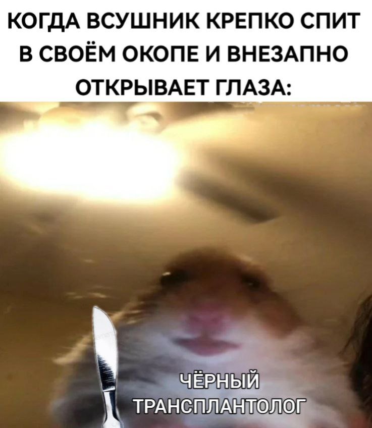 Дантес (@dantesdmitriy) on Twitter photo 