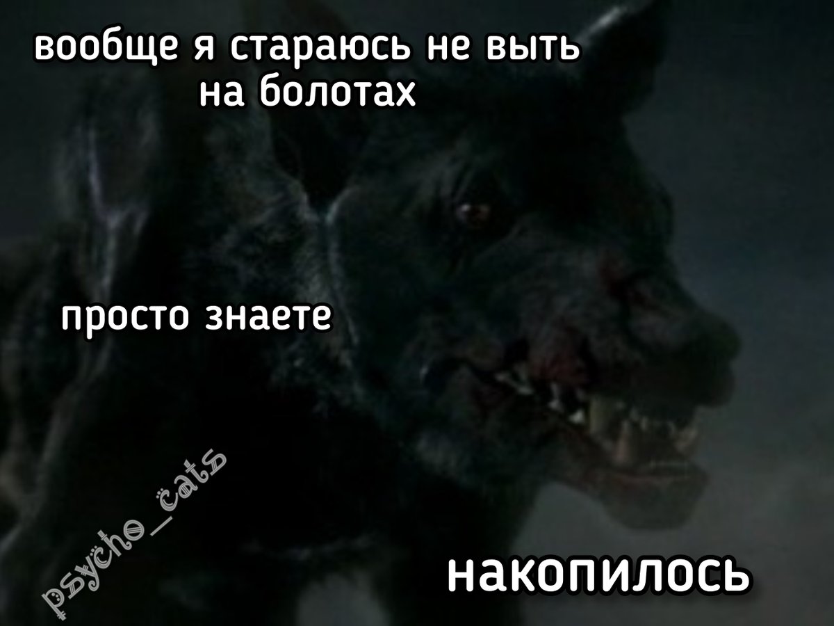 психокоты (@psycho__cats) on Twitter photo 