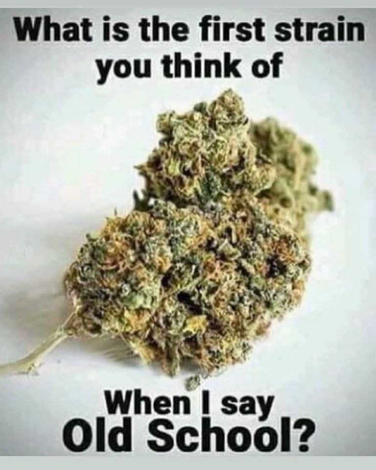 London Seed Centre tweet media