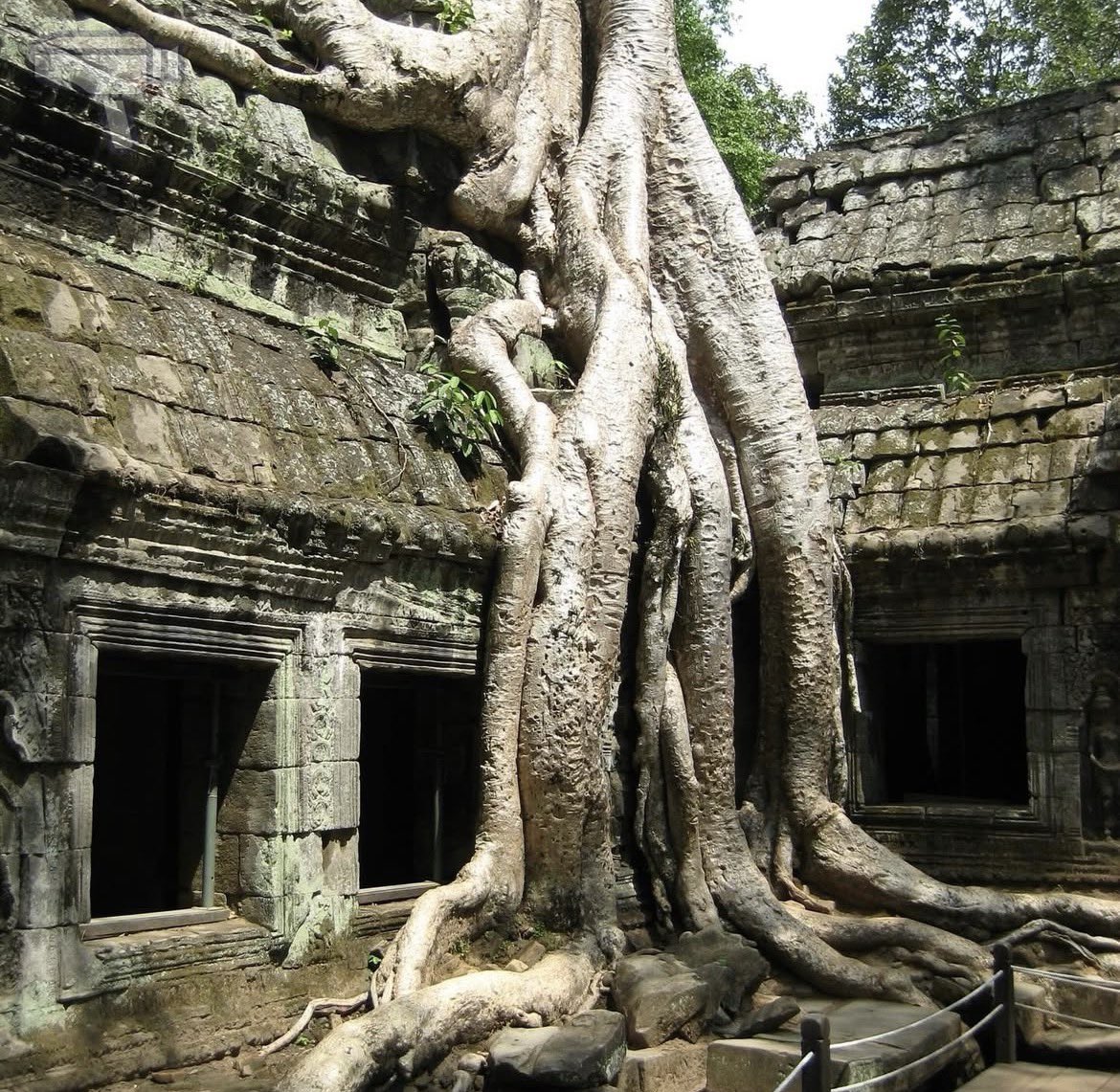 El Tomavistas. Viajando Fetén tweet media