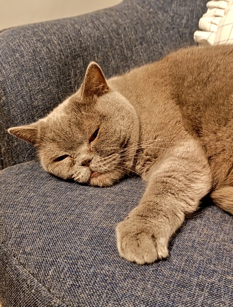 "Örtük bir samimiyetliğin içinde
olmaktansa, laubali bir yalnızlığın rölatif gavuru olurum daha iyi." diye bir cümle okudum. Üzerine düşünülmesi gerek sanırım..