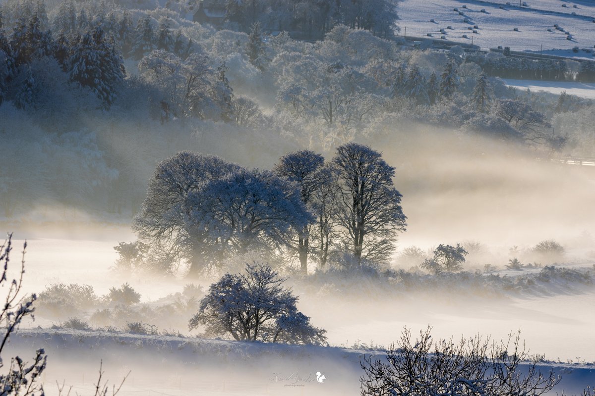 FionaEms's tweet photo. Cold Misty Evening, River Dee (Aberdeen) https://t.co/jN8hM8PeLd