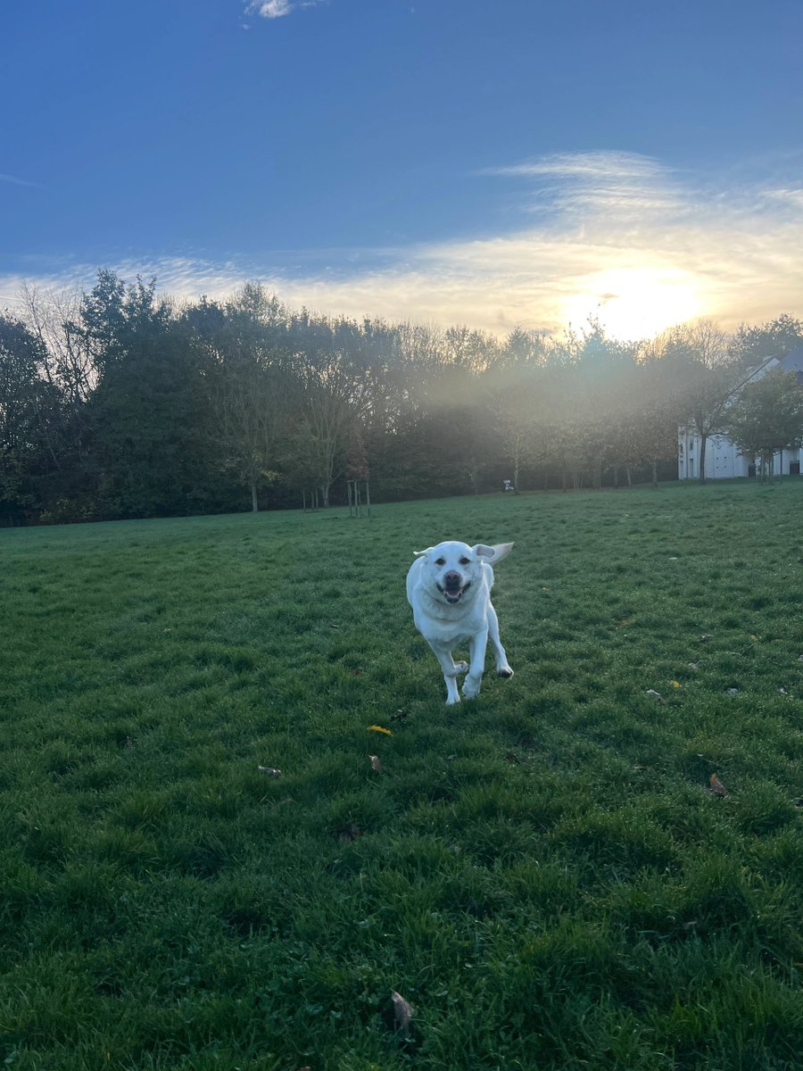 BabyBus86's tweet image. George is so happy