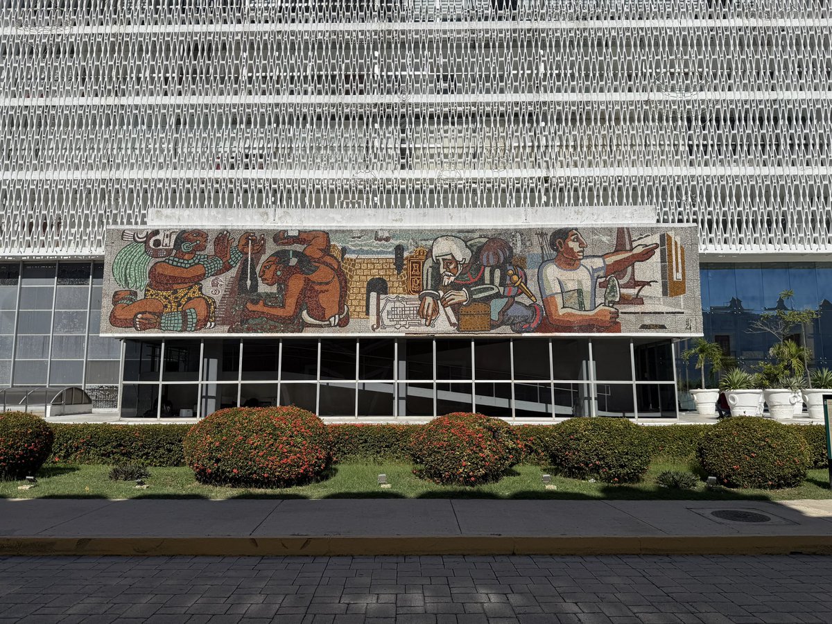 Aldo Solano Rojas (@aldosolanorojas) / Posts / X