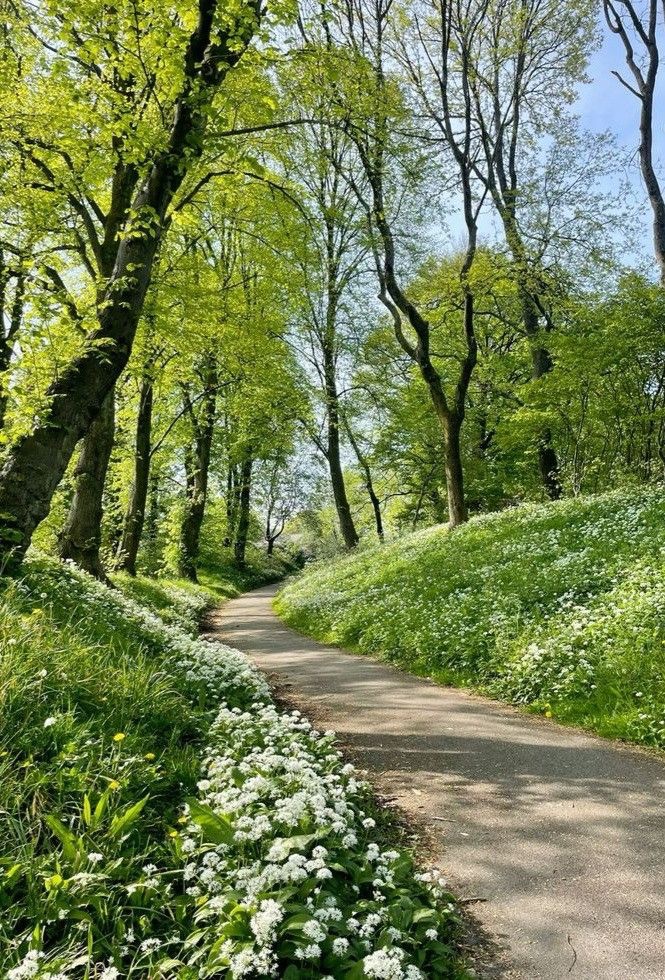 Let’s go for a walk…