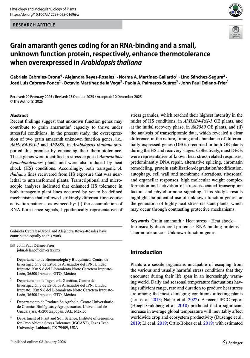 Gabriela Cabrales-Orona tweet media