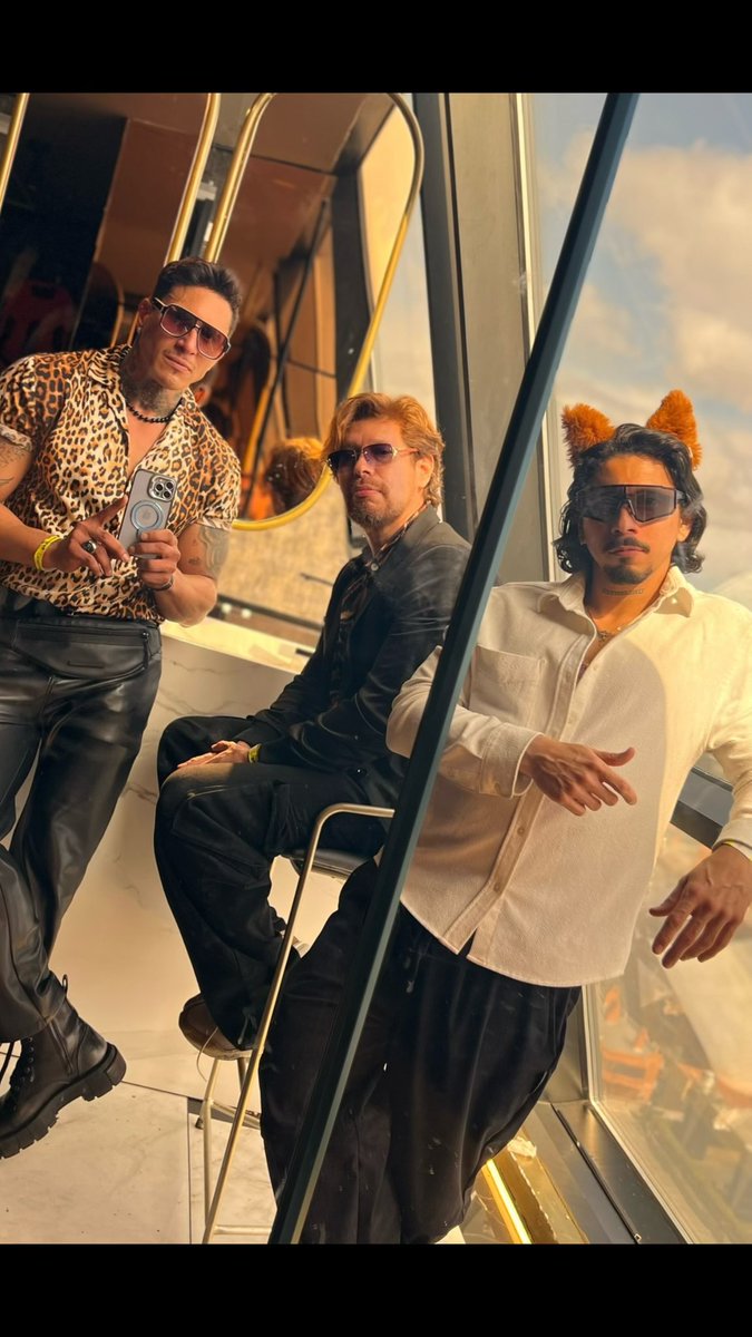 JoseMeirelesr tweet media