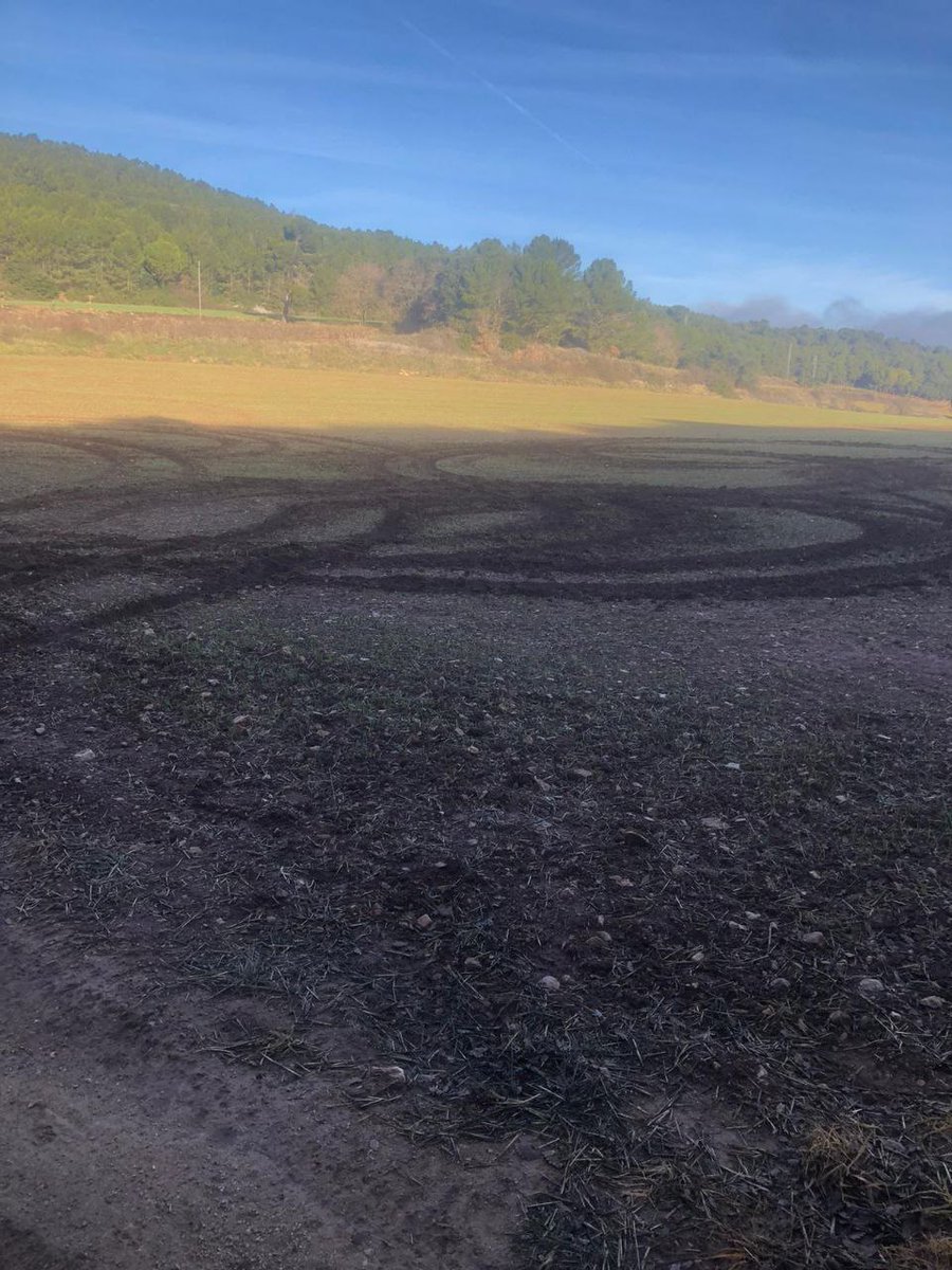 meteollac tweet media