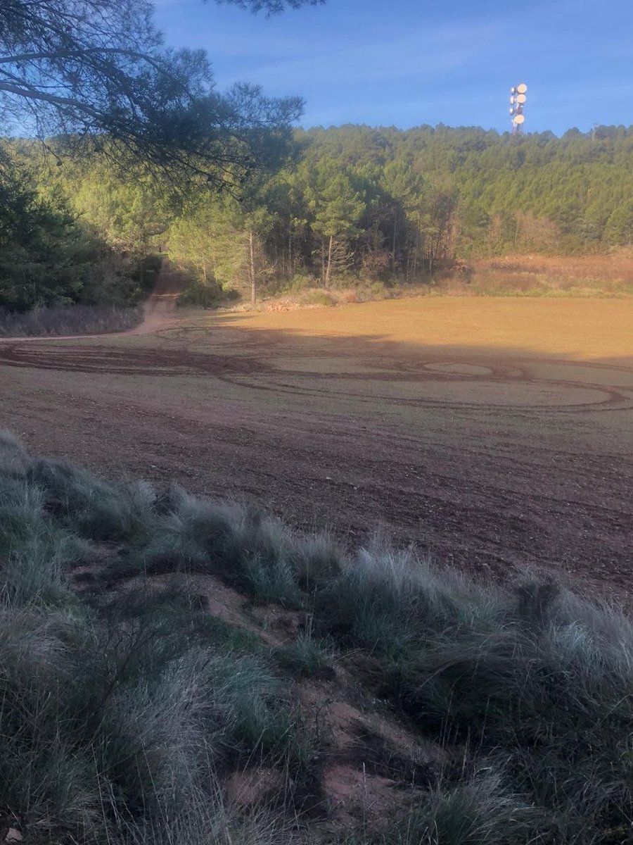 🌨️ Derrapar amb el 4x4 sobre camps de sembrat quan neva no és diversió; és destrossar la feina dels pagesos.
🌱 El pa i la cervesa que us foteu per esmorzar, comencen aquí.