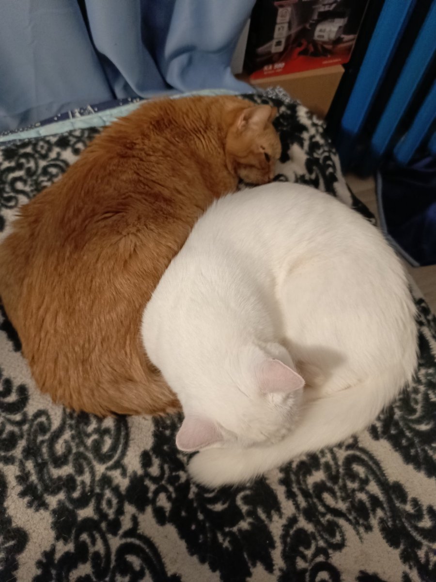 Хлебобулочности лежат