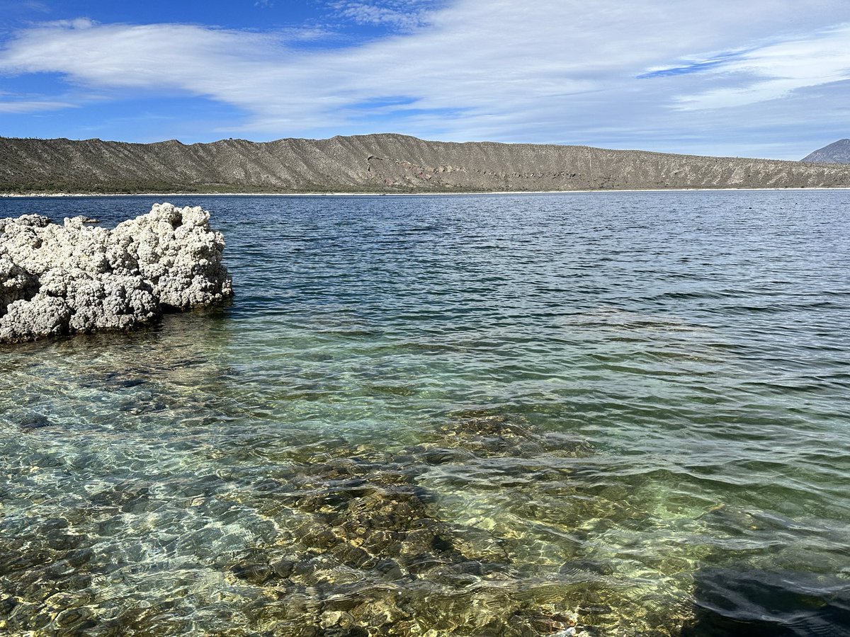 Saydi Romano tweet media