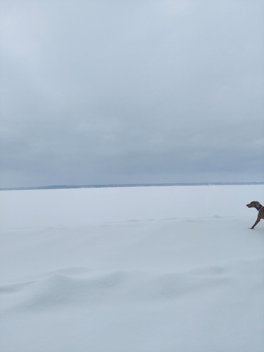 weimrnr's tweet photo. #LakeChamplain #Mellie https://t.co/ZhFqgZY6D8
