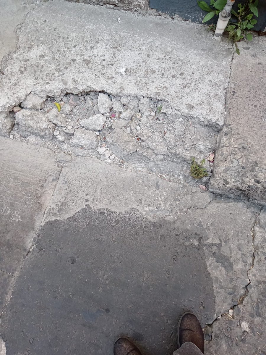 edithtwitts's tweet photo. @qromunicipio  banqueta que duro solo 1 noche, se desmoronó y sigue avanzando el deterioro
Calle Morelos entre Ezequiel Montes y Nicolas Campa https://t.co/4MFNHdU1Ux