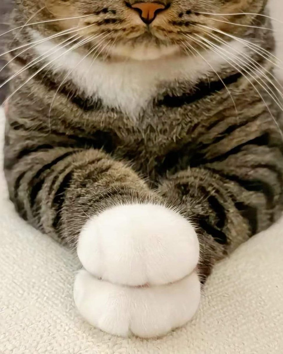 Allah çok güzel yaratmış...