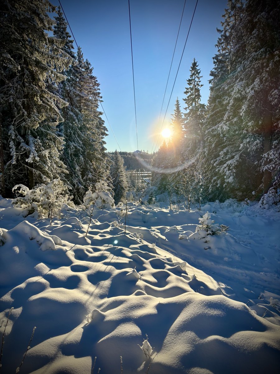 Bestemmelser om annen inntekt i Mønsteravtalen art. 21 –  oppsamlingsbestemmelse og komplettering av avtalens fordelingsregler, image size:900x1200