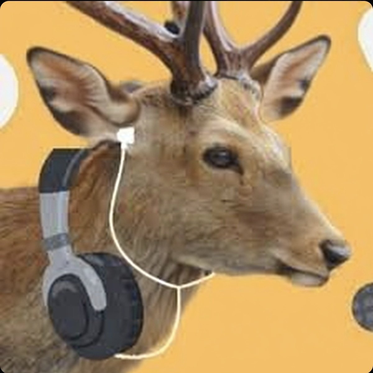 ✨水滴　春日神鹿✨ 春鹿 純米吟醸 白滴 300ml ｜ 日本酒博物館