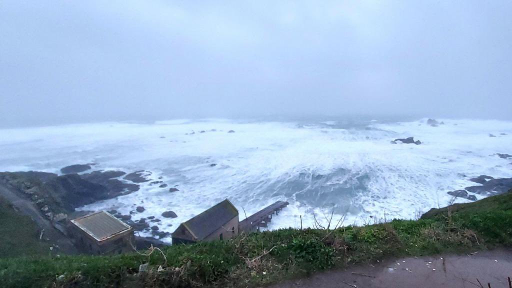 WeGotitBack 🏴󠁧󠁢󠁥󠁮󠁧󠁿🇬🇧🇺🇸 tweet media