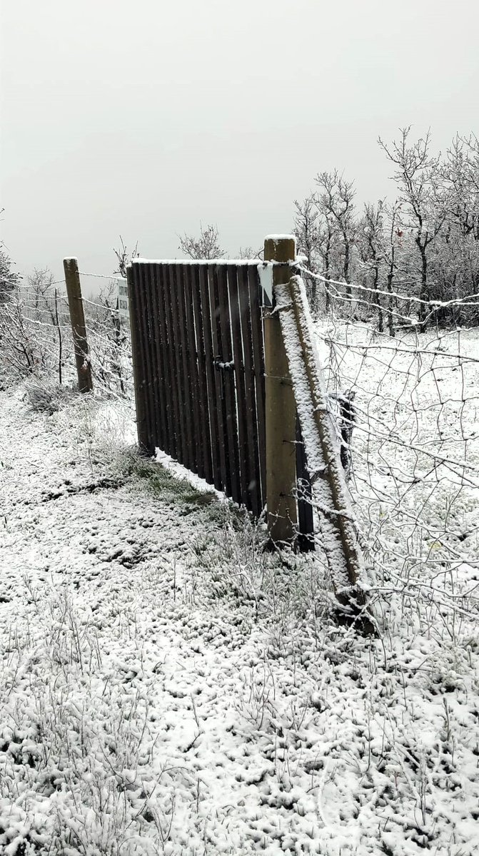 DaniElefantman's tweet image. Valla rústica embellecida por la nieve #valla #nieve #rustico #hacerfotos  #invierno