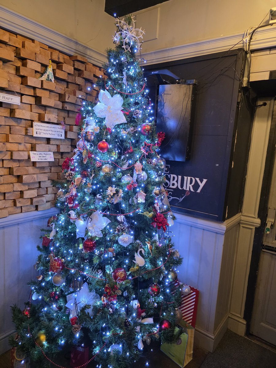 TheZooShift's tweet image. The time Christmas ruined darts. 

#pdcworlds #darts #christmasruined