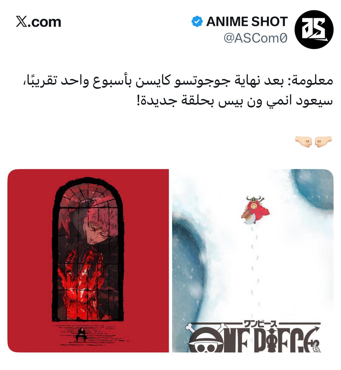 شوتو قيمر / SHOTO tweet media