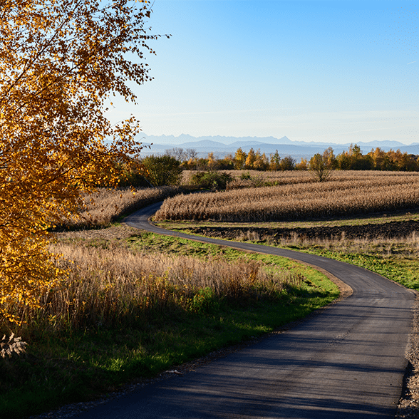 The latest NTCA rural broadband survey found that 79% of customers have 1 Gbps service available to them and 92% can get 100 Mbps service. Read full article here: telecompetitor.com/ntca-rural-bro…

#ntca #ruralbroadband