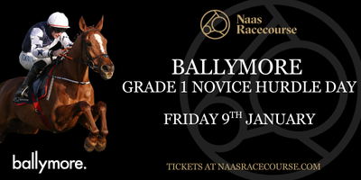 Naas Racecourse tweet media