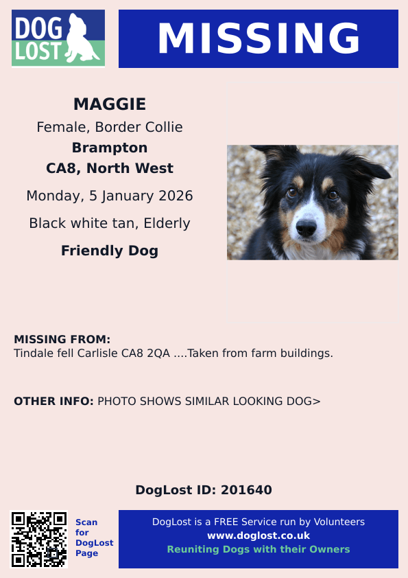 🆘5 JAN 2026 #Lost Maggie #ScanMe #STOLEN??
ELDERLY Border Collie Female
PHOTO SHOWS SIMILAR LOOKING DOG
Tindale fell #Carlisle #Brampton #Cumbria #CA8 2QA 
Taken from farm buildings
doglost.co.uk/dog/201640
