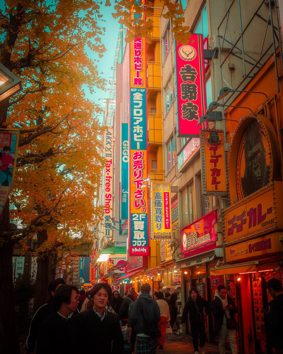 brphoto.co tweet media