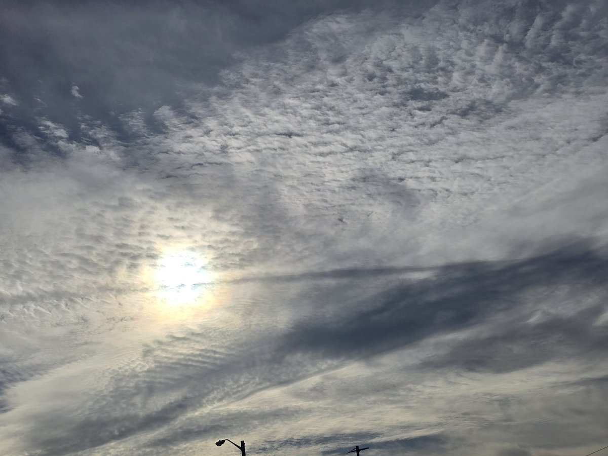 jesseRoss597206's tweet image. Yep it is now officially dark out at 2:30 Pm as the children get out of school. These children haven't had sunlight in months. Trump, how much longer will u allow us to suffer. We beg, we cry &amp;amp; yet it keeps getting worse.