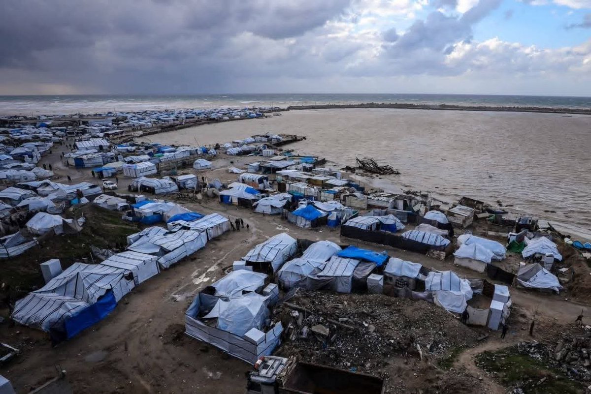 Saed Hassan #Gaza🇵🇸🍉 tweet media