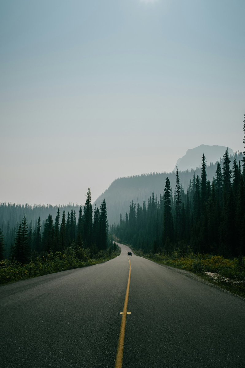 Earth (@earthcurated) on Twitter photo 