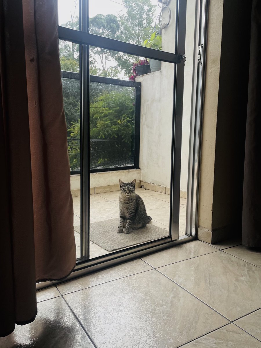 gomesthee's tweet image. 🤍