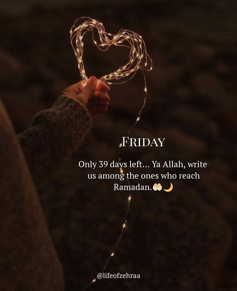 Allah Knows What is the Best for You. Islamic Quotes. Stock Vector -  Illustration of allah, motivational: 244940666, image size:977x1200