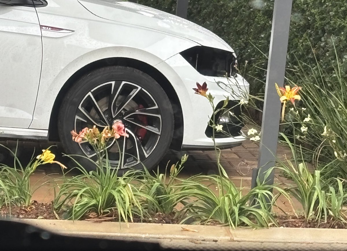 Dedication_N's tweet image. 