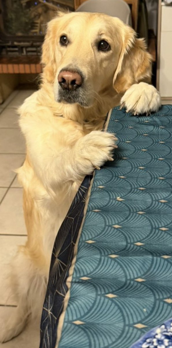 Elle se prend pour qui 😂