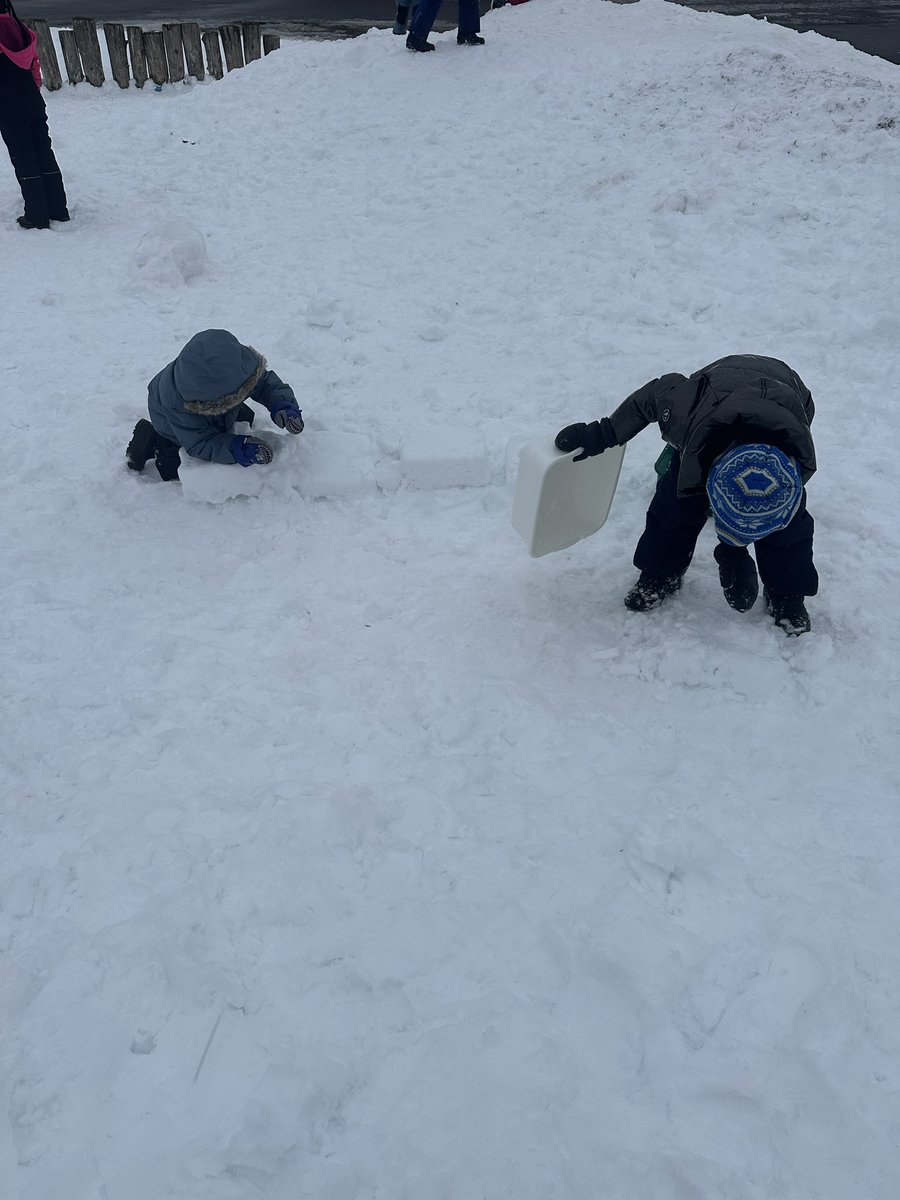 Stephanie Lucas tweet media