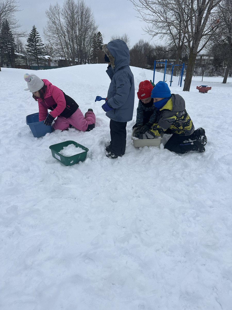 Stephanie Lucas tweet media