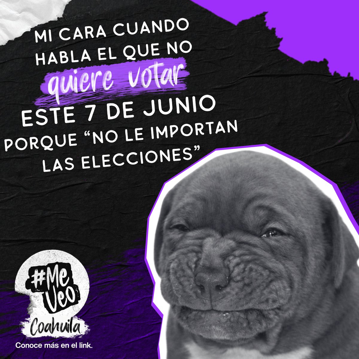 CCICOAH's tweet image. No sabe ni qué hace un diputado, pero se queja como experto 😵‍💫

Da click en el link de abajo ⬇️ y escríbenos si tienes dudas ✍🏼
inetel-citas.ine.mx/ReservaCitas/ 

#MeVeoCoahuila #Elecciones #Coahuila #PolíticaMX