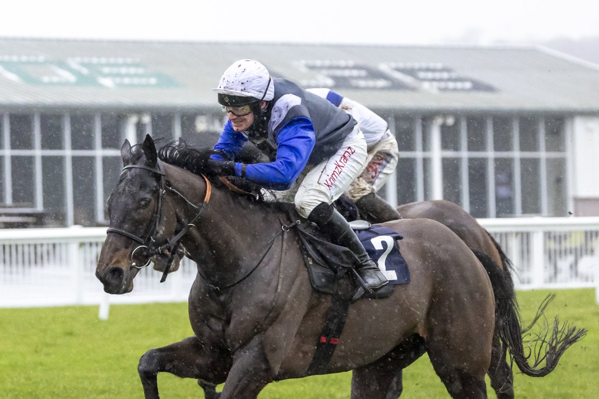 Ffos Las Racecourse tweet media